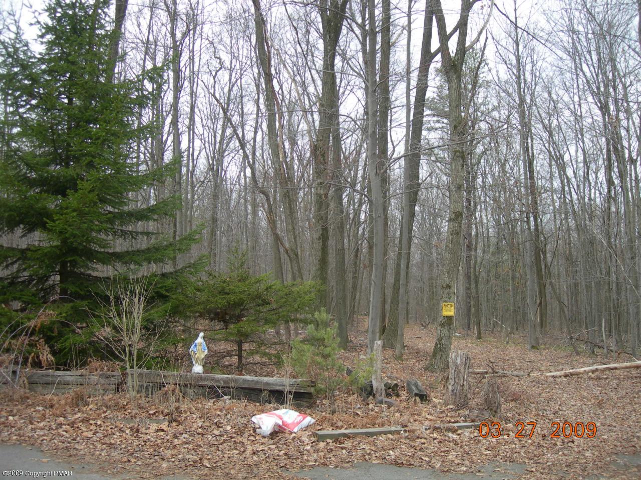 7480 Blue Ridge Trail Wapwallopen, PA 18660 - Photo 3 of 3 Property