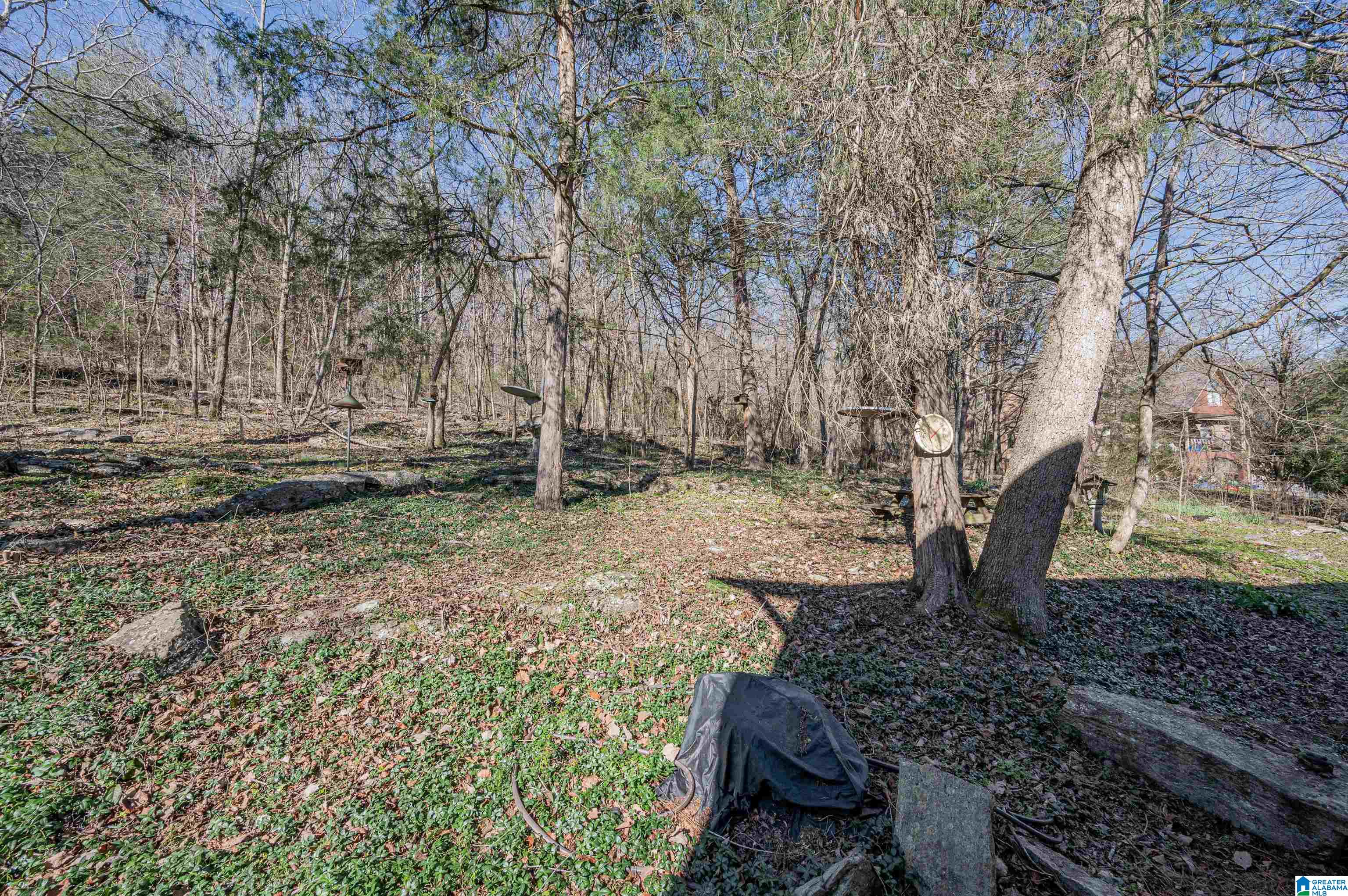 19035 Remlap Drive Remlap, AL 35133 - Photo 47 of 48