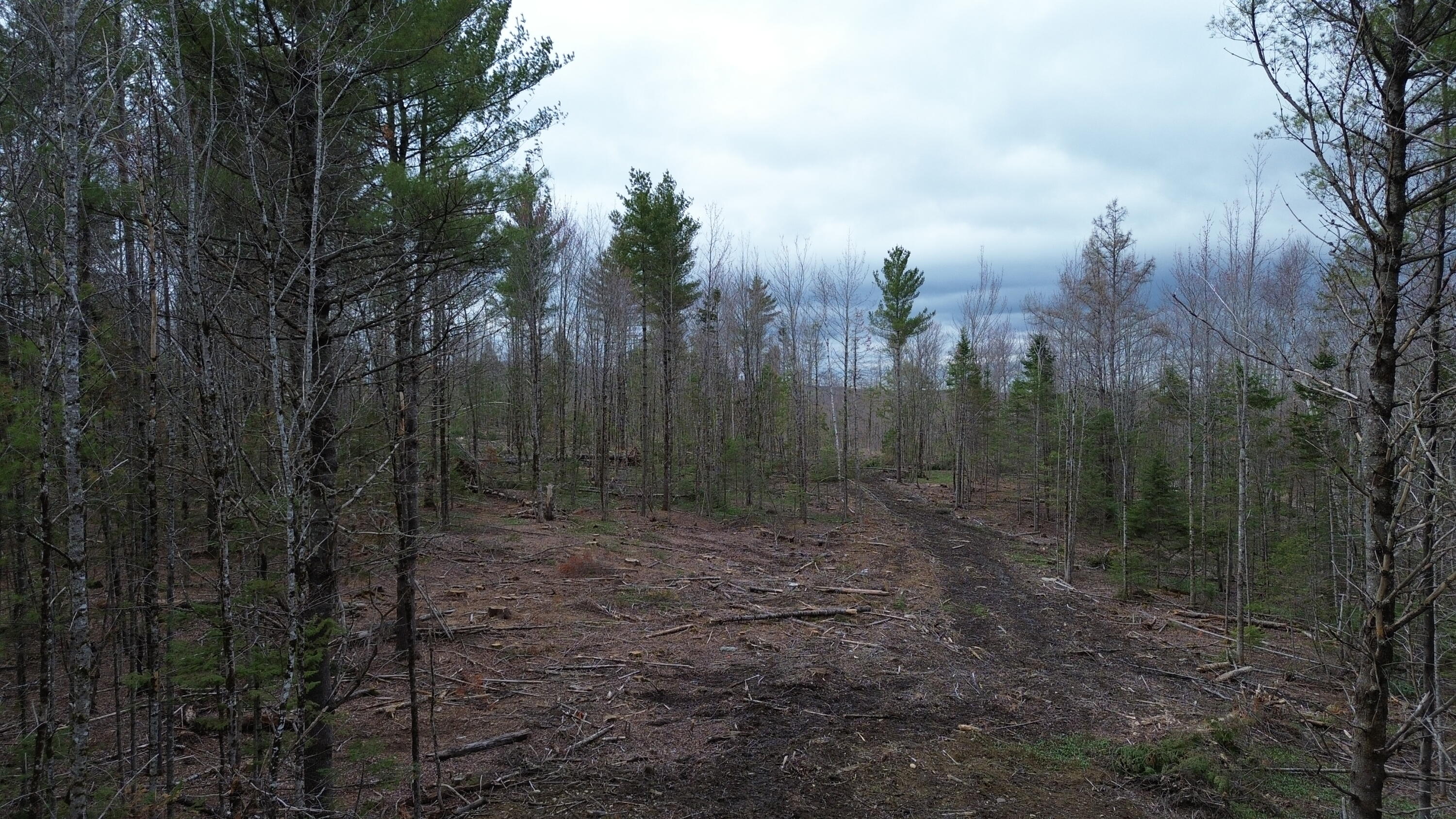 3 L13/6 Road Orient, ME 04471 - Photo 9 of 12