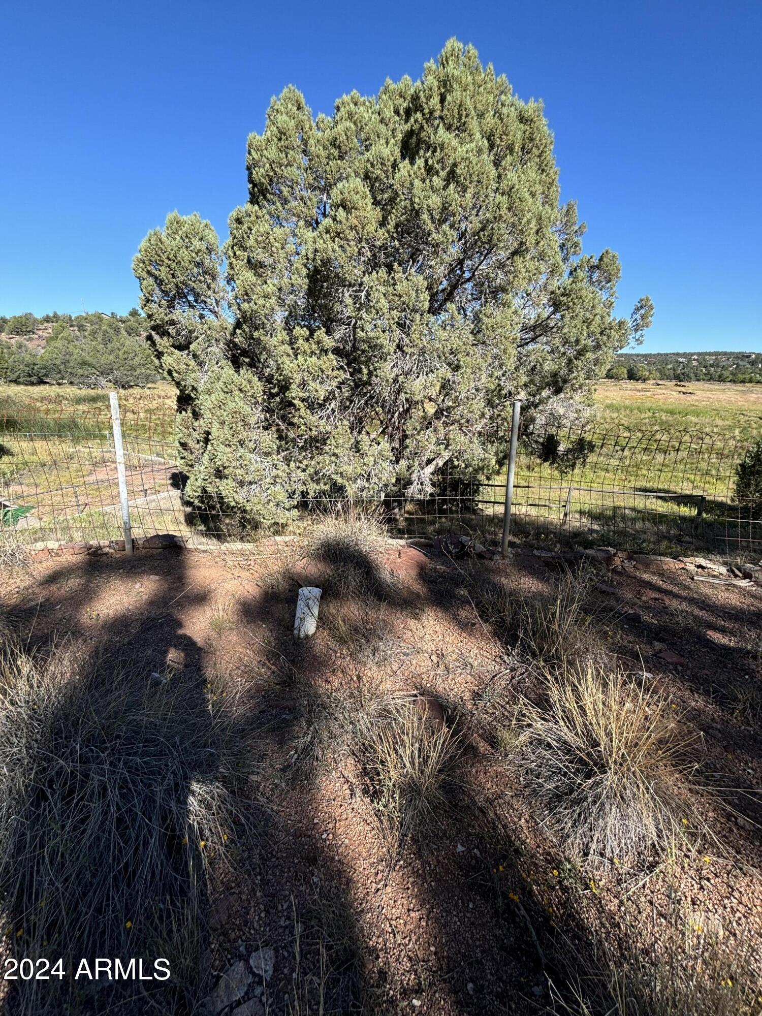 1310 West Rim Drive, Unit 59 Payson, AZ 85541 - Photo 5 of 14 IMG_5443
