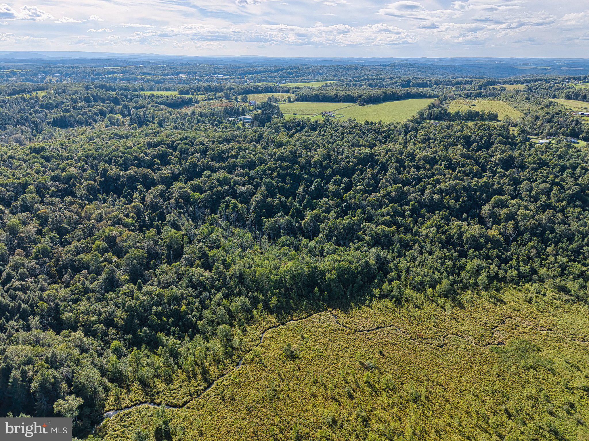 0 Creamery Road Jermyn, PA 18433 - Photo 8 of 17 Vast green expanse under open skies.