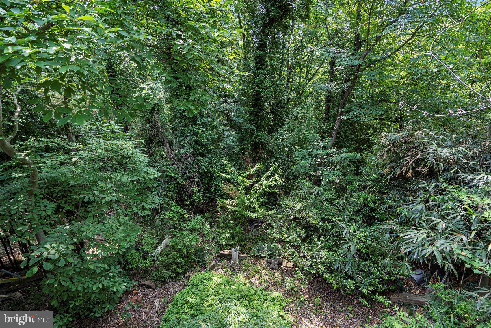 151 Spring Path Arnold, MD 21012 - Photo 21 of 53 View from Deck