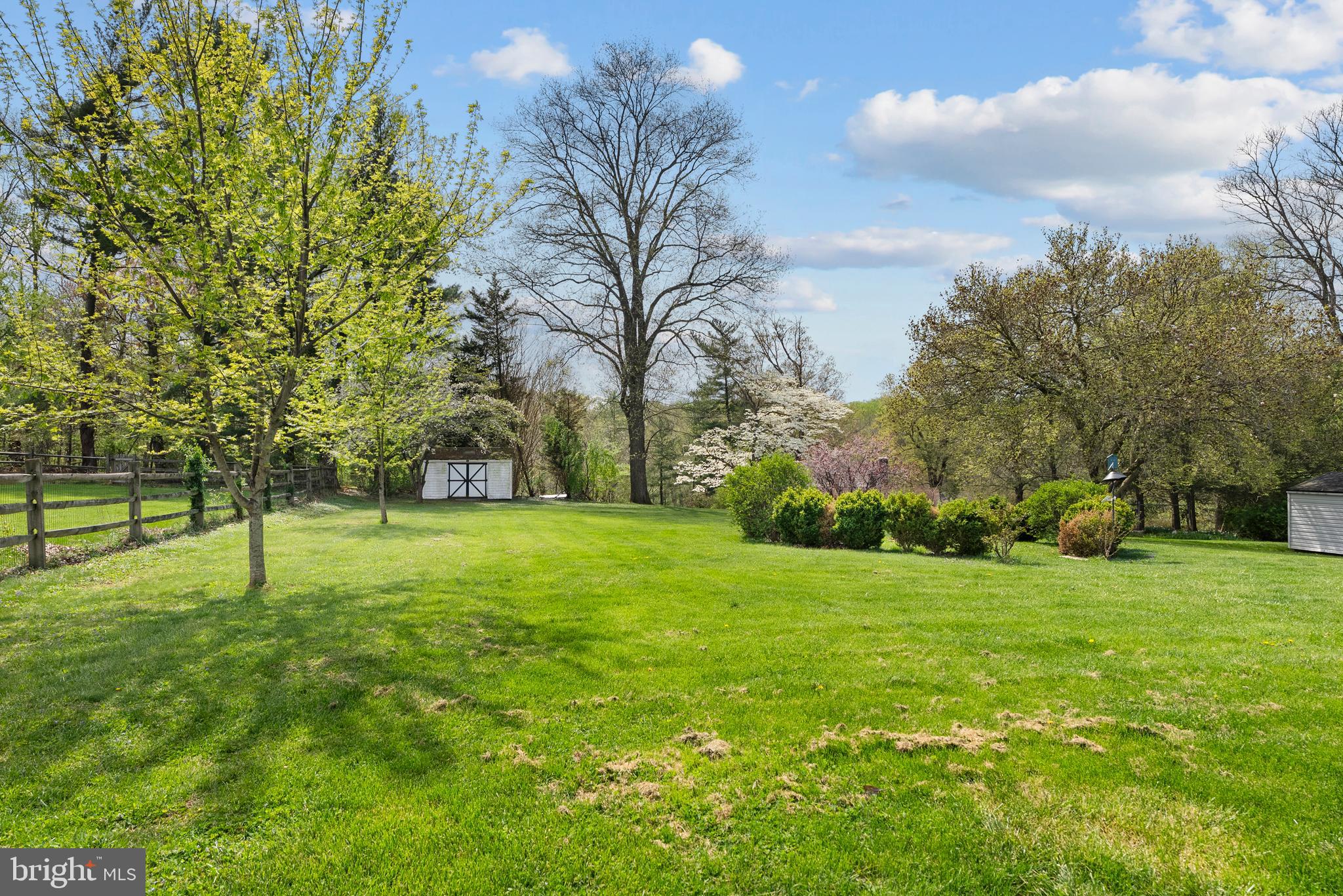 6605 Mt Vista Road Kingsville, MD 21087 - Photo 39 of 54 Park-like setting in backyard
