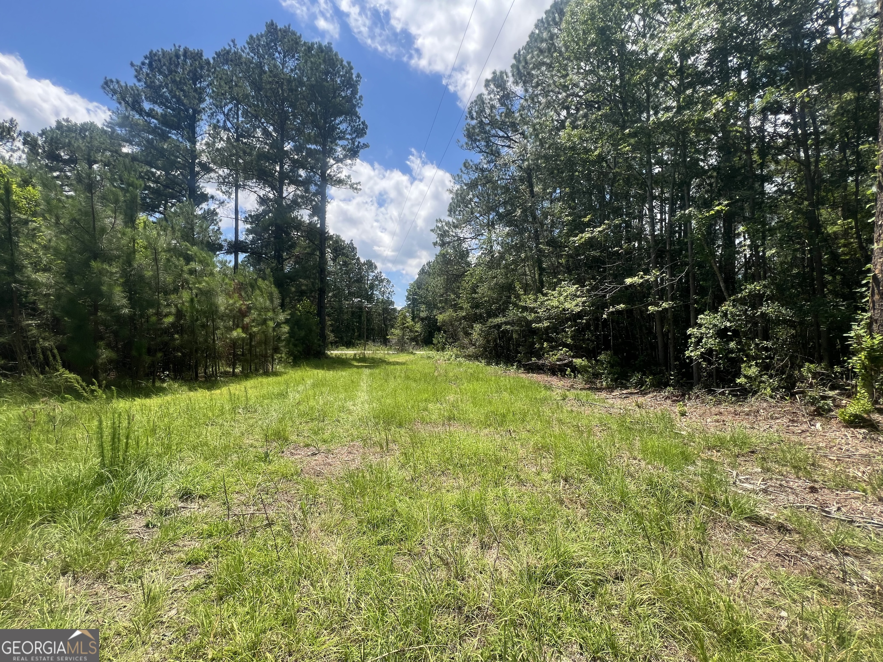 243 Buck Road Sylvania, GA 30467 - Photo 10 of 12