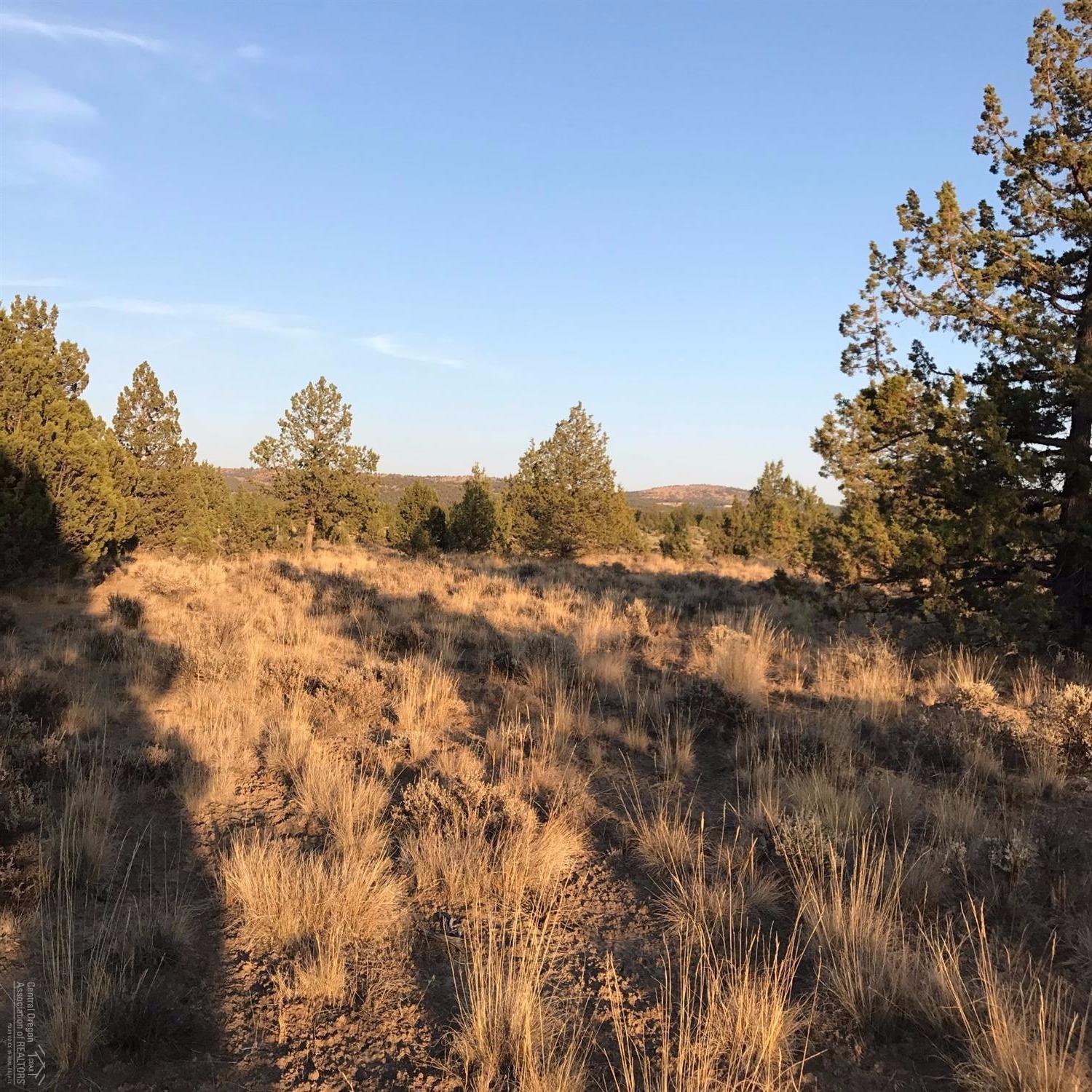 13150 Southeast Falcon Ridge Road Prineville, OR 97754 - Photo 18 of 22 Additional Photo
