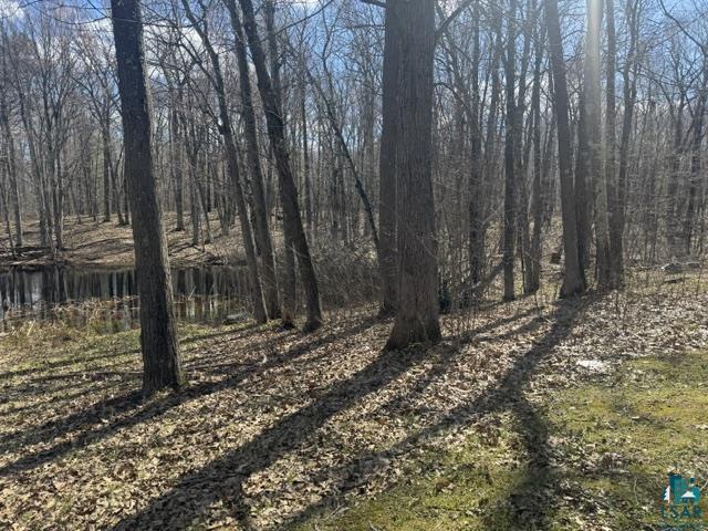 13160 East County Rd B Lake Nebagamon, WI 54849 - Photo 26 of 26 Gallery Image 26