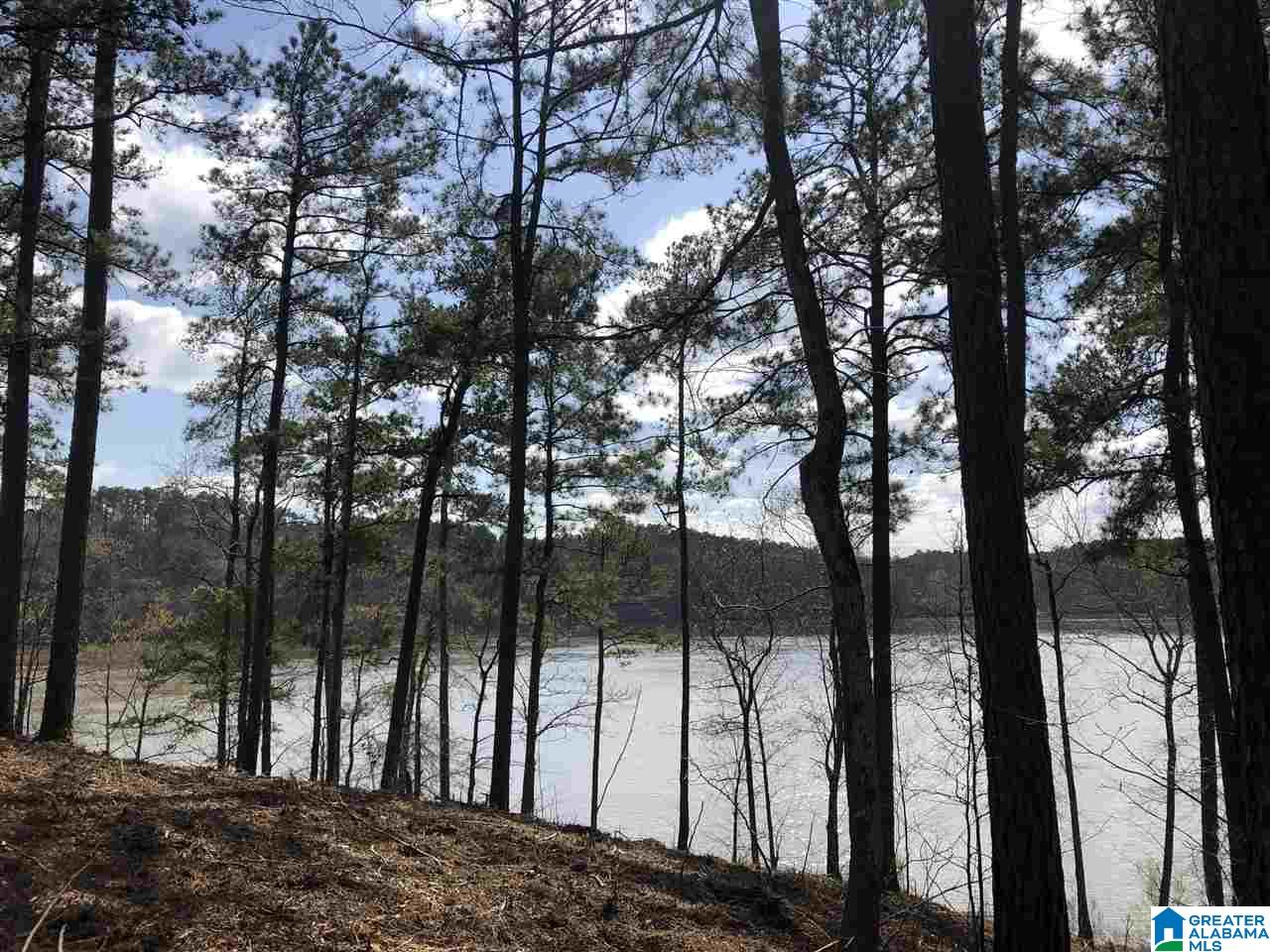 Stillwaters Trail Sylacauga, AL 35151 - Photo 4 of 30