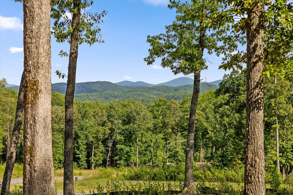 Lot 85 Split Creek Road Morganton, GA 30560 - Photo 7 of 23