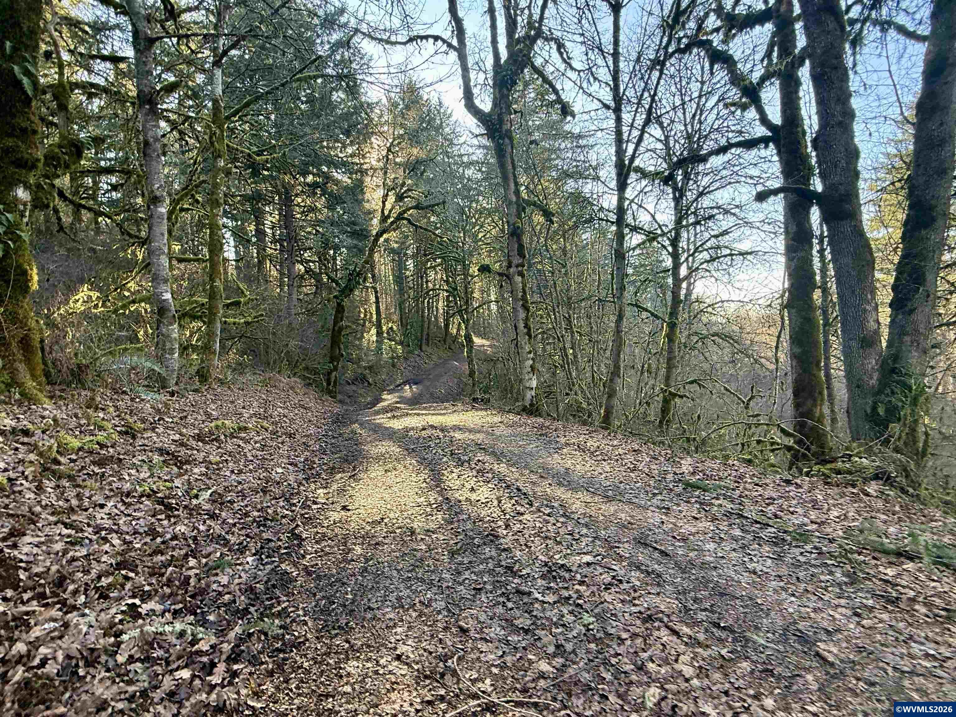 800 Siegmund Road Stayton, OR 97383 - Photo 7 of 21