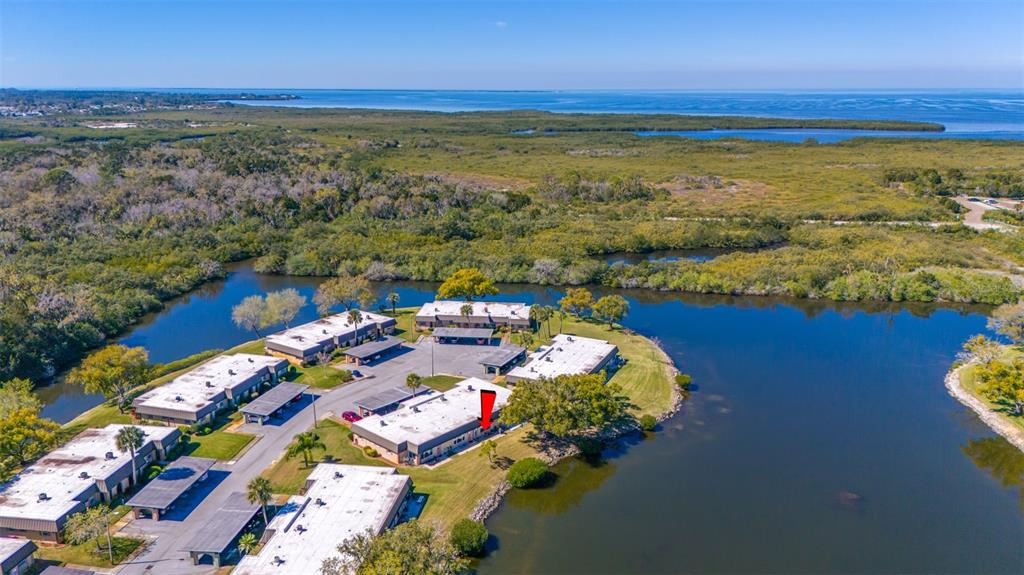 4127 Hampton Drive, Unit 4127 New Port Richey, FL 34652 - Photo 19 of 20
