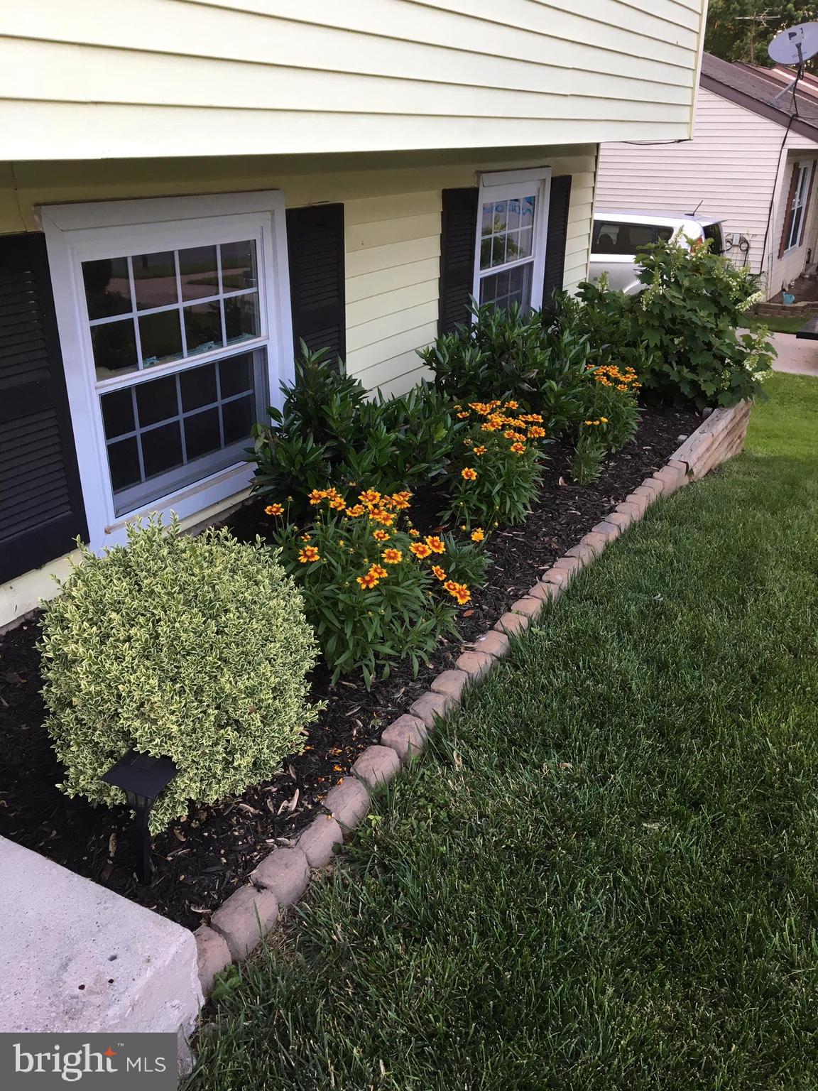 330 Royer Road Westminster, MD 21158 - Photo 50 of 57 2018 Summer, beautiful perennials