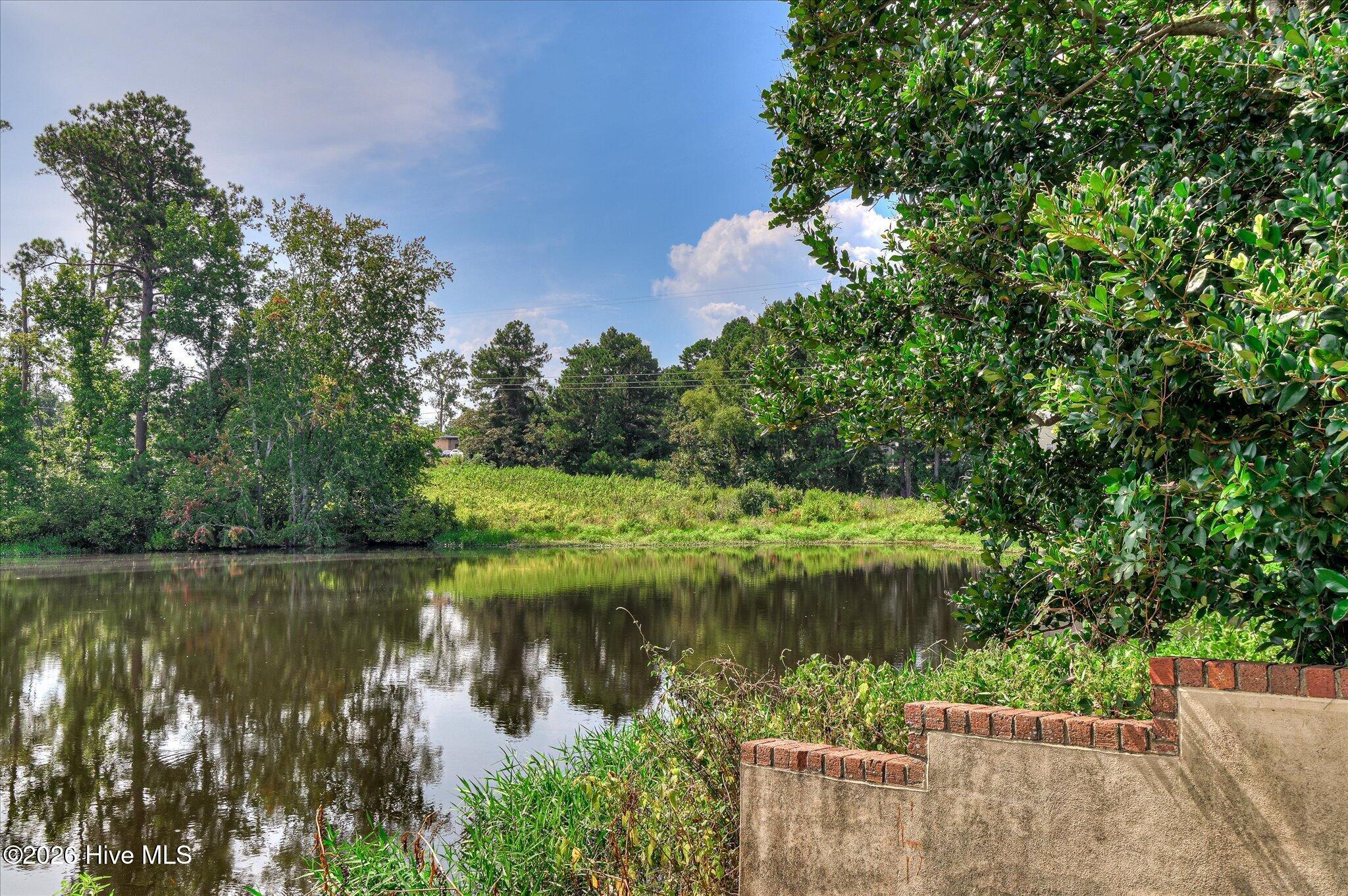 599 Blue Ridge Crossing Evans, GA 30809 - Photo 56 of 61 Gallery Image 56