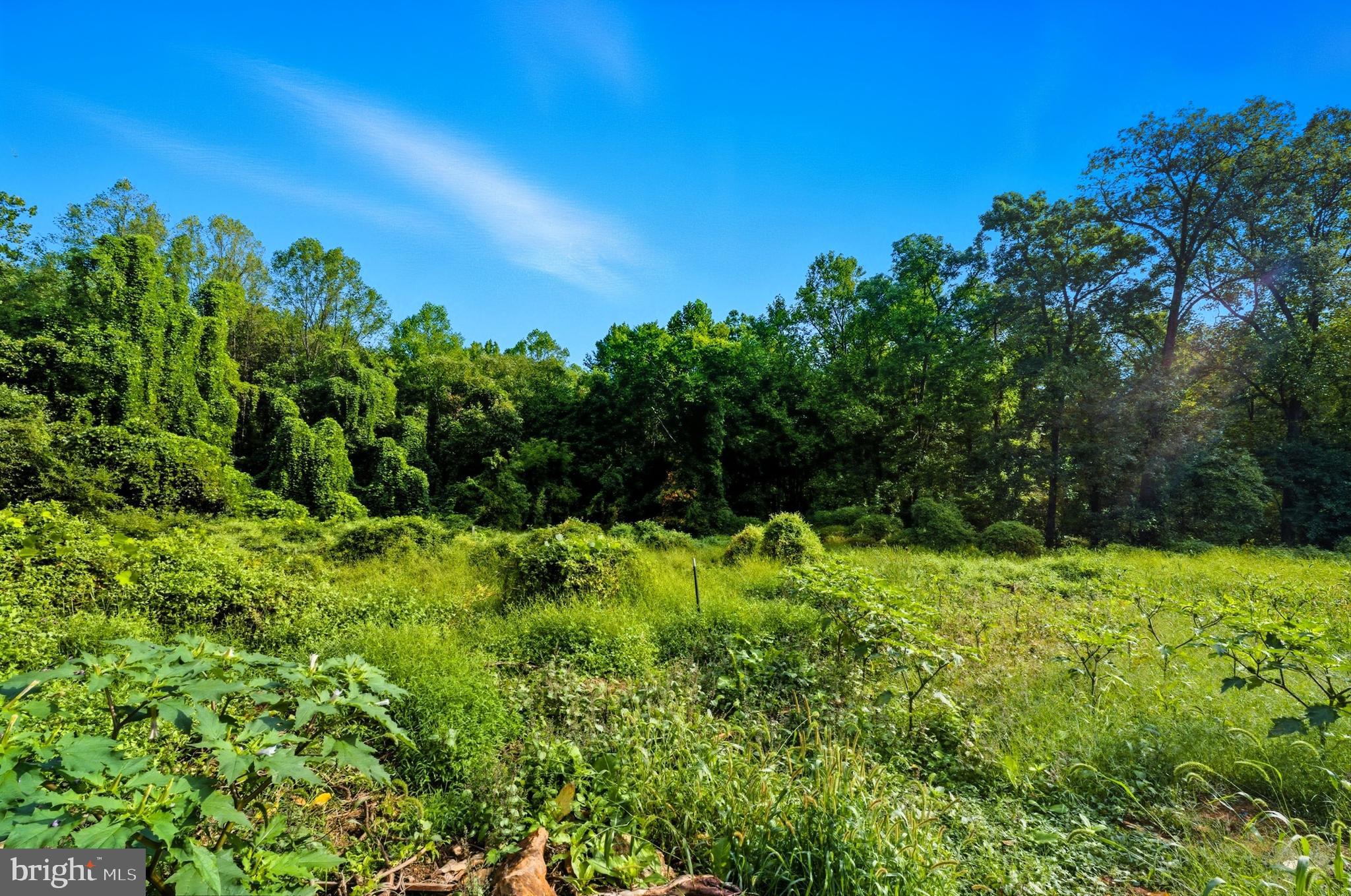 9310 Crandall Road Lanham, MD 20706 - Photo 11 of 45