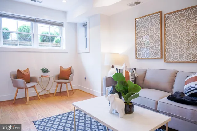 a living room with furniture potted plant and window
