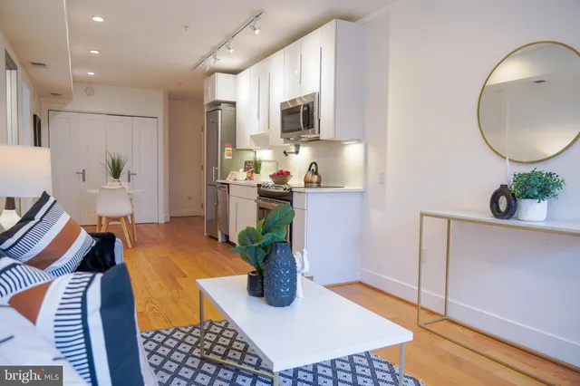 a room with furniture and a potted plant
