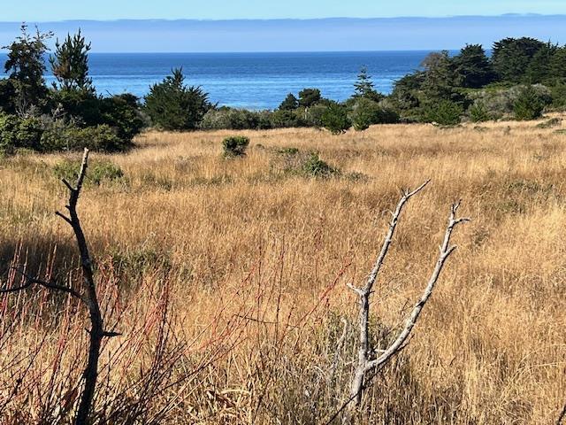 375 Spur Close The Sea Ranch, CA 95497 - Photo 12 of 16