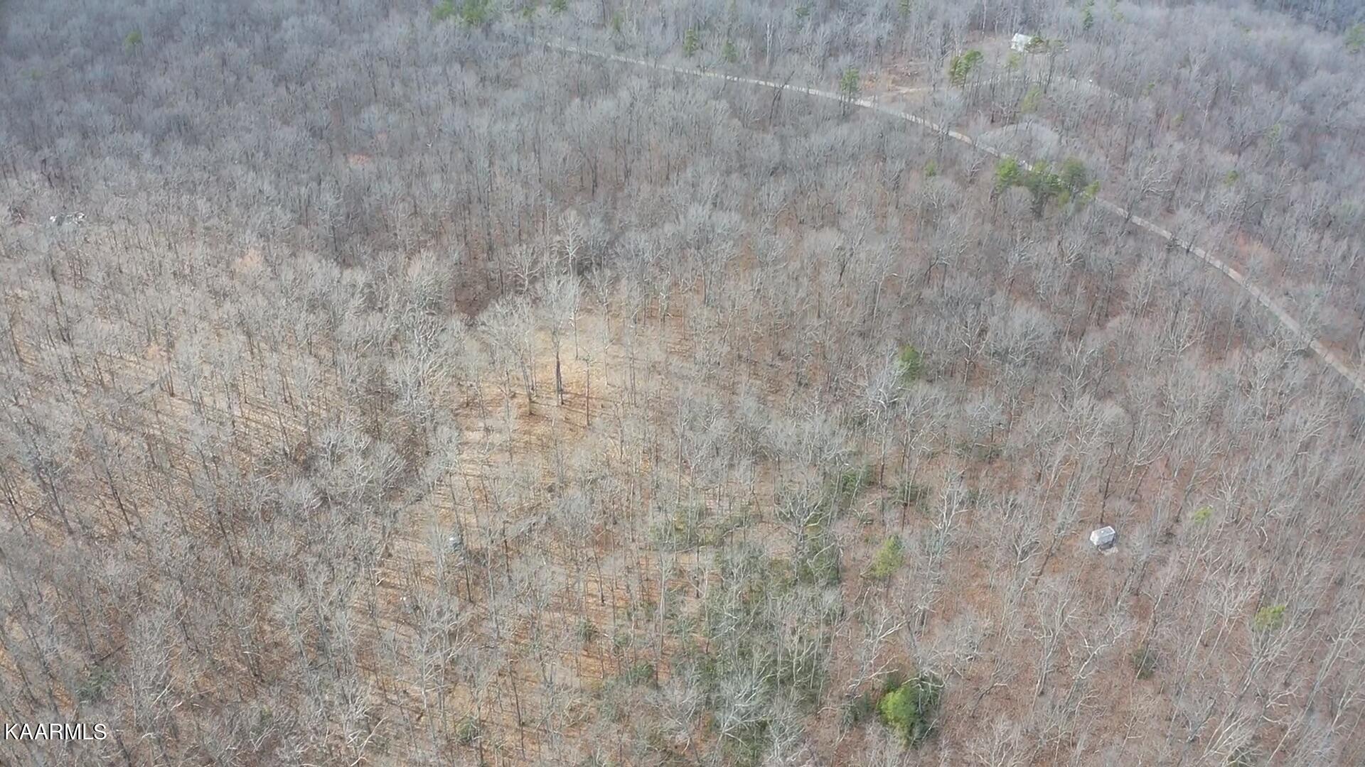 Wilson Ridge Road Jamestown, TN 38556 - Photo 4 of 24 3698F75A-95D9-4FA0-9773-D9D9FECD61EA