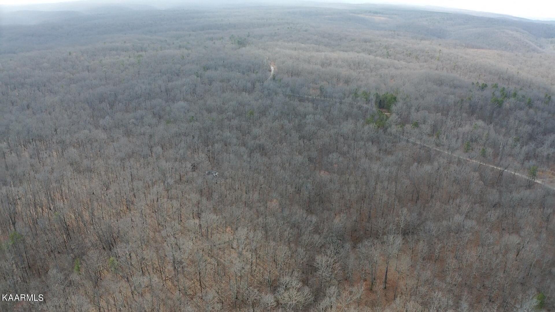 Wilson Ridge Road Jamestown, TN 38556 - Photo 8 of 24 77EAB3A6-F0A9-4033-AD2B-DA26F2714495