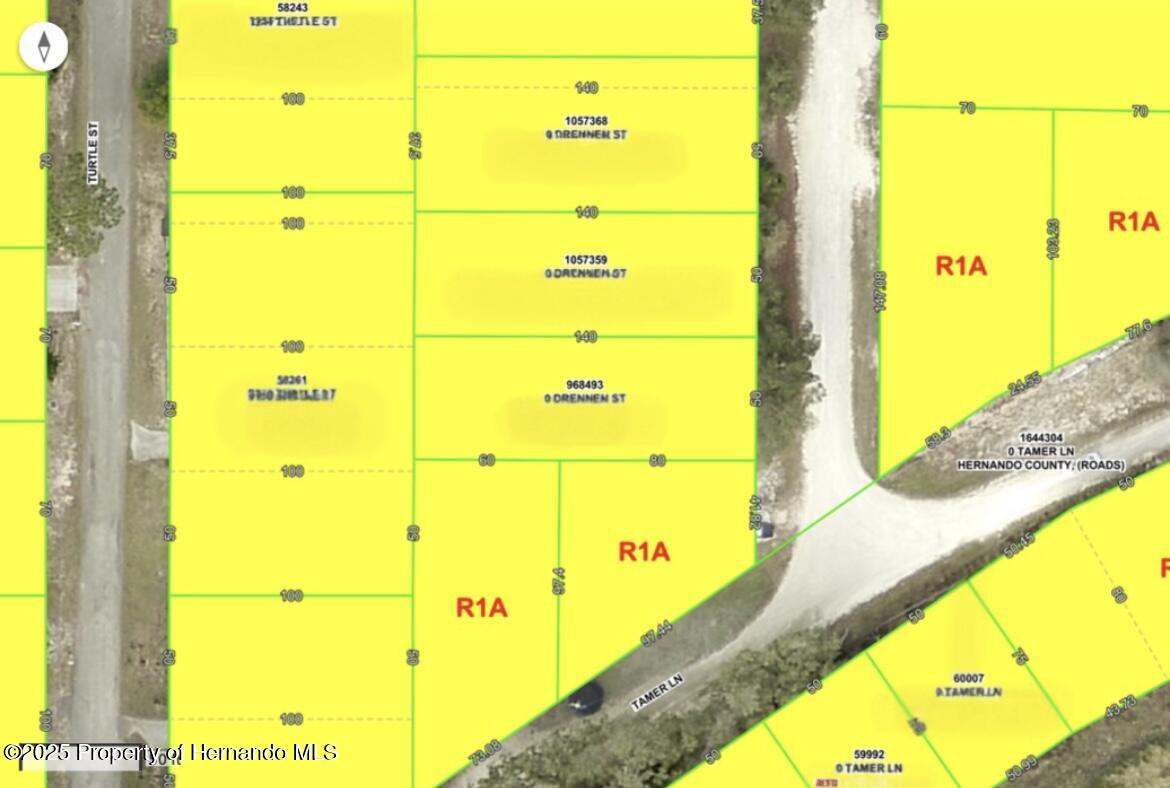 0 Drennen Street Ridge Manor, FL 33523 - Photo 2 of 2