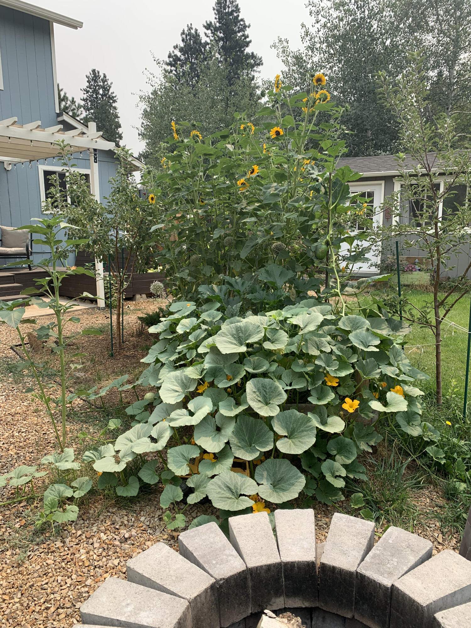 20045 Old Rock House Road Bend, OR 97702 - Photo 24 of 27 A gardeners delight with custom flower beds and room for many more!