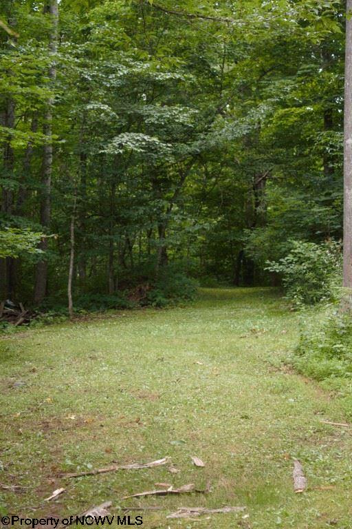 771 Bergoo Road Webster Springs, WV 26288 - Photo 20 of 20 Gallery Image 20