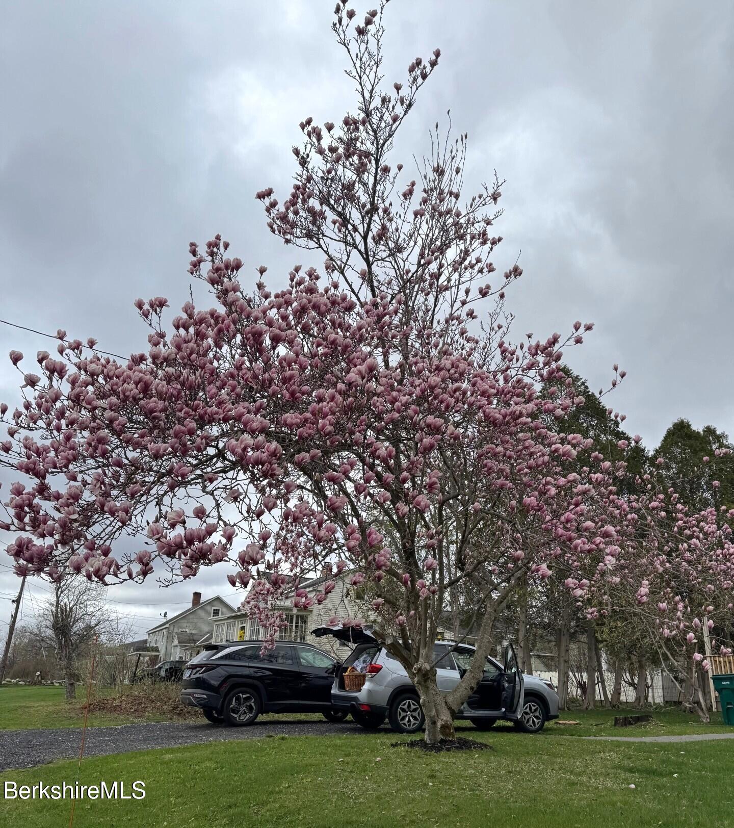 77 Natural Bridge Road North Adams, MA 01247 - Photo 28 of 40 Magnolia