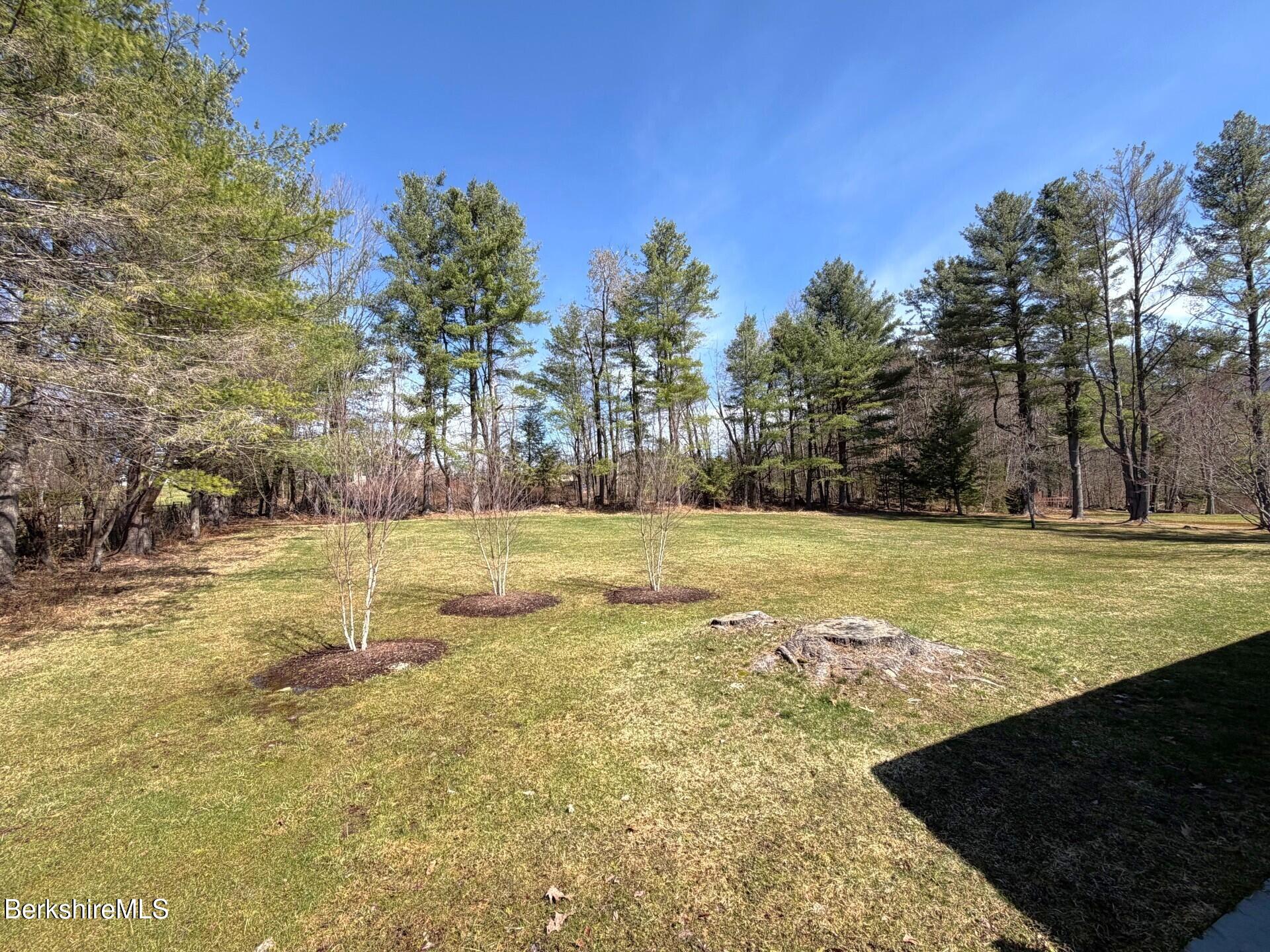 77 Natural Bridge Road North Adams, MA 01247 - Photo 33 of 40 NewTrees