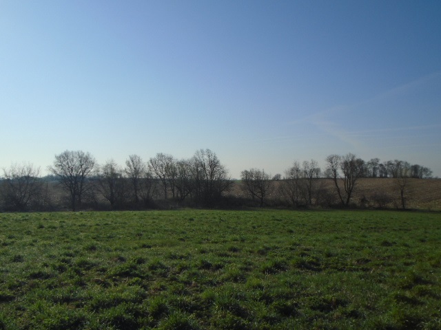 0 Wheeler Road Kirkland, IL 60146 - Photo 1 of 10 a view of a field