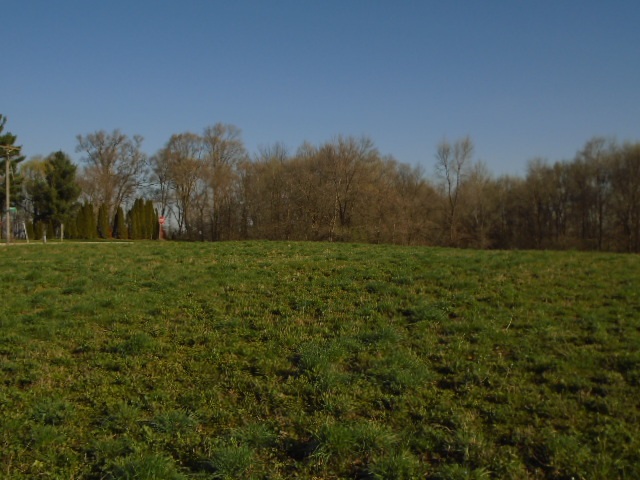 0 Wheeler Road Kirkland, IL 60146 - Photo 3 of 10 a view of a field with trees in background