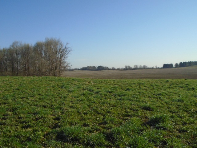0 Wheeler Road Kirkland, IL 60146 - Photo 4 of 10 a view of a field with ocean in background
