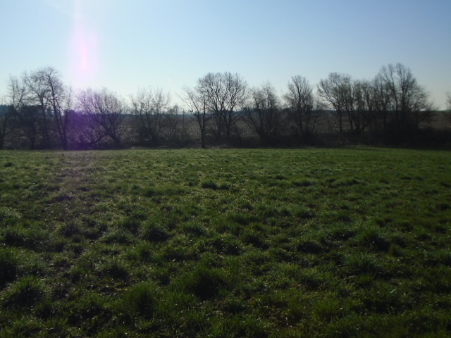 0 Wheeler Road Kirkland, IL 60146 - Photo 6 of 10 a view of yard with trees