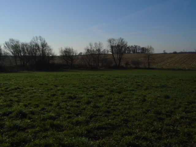 0 Wheeler Road Kirkland, IL 60146 - Photo 7 of 10 a view of a field of grass and trees
