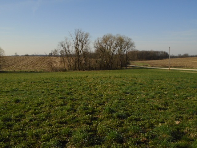 0 Wheeler Road Kirkland, IL 60146 - Photo 8 of 10 a view of a field of grass and trees