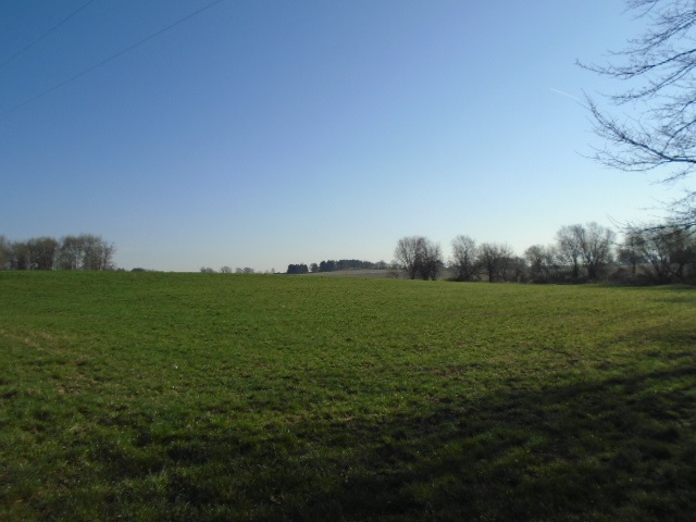 0 Wheeler Road Kirkland, IL 60146 - Photo 9 of 10 a view of field with grass and trees
