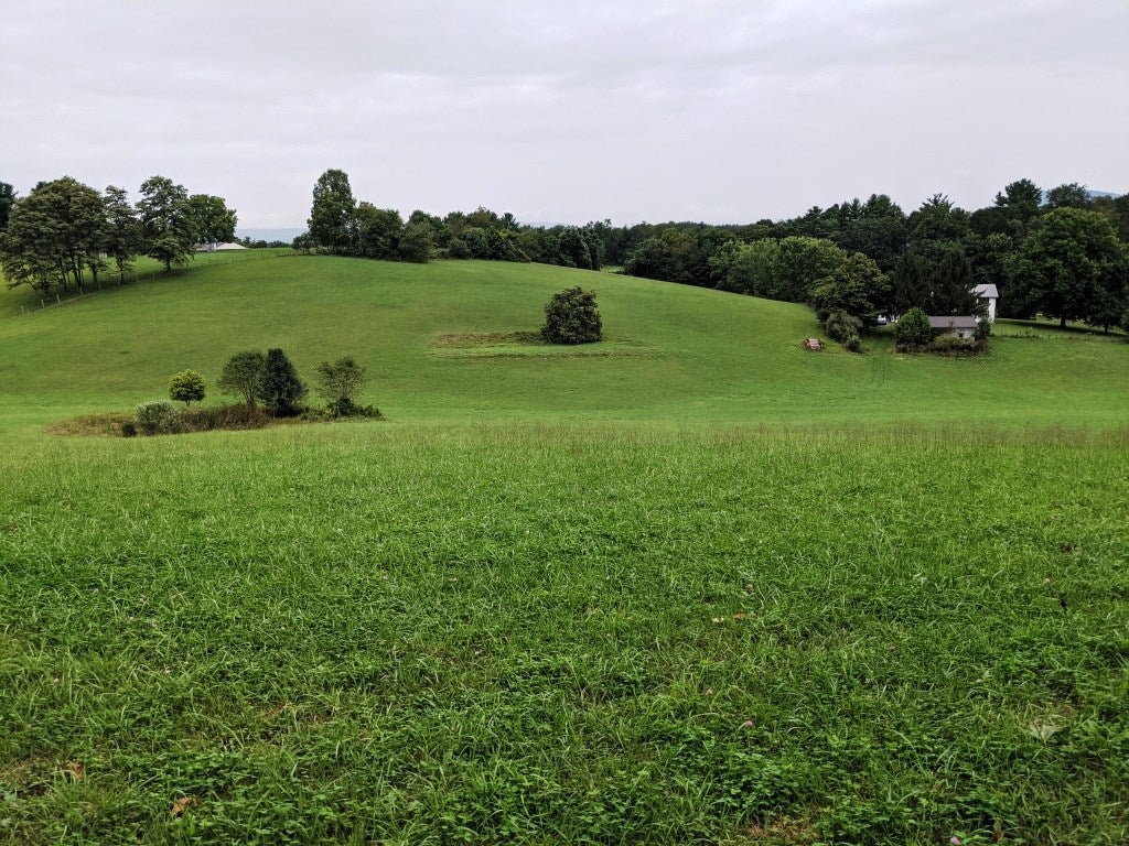 1645 Fort Chiswell Road Max Meadows, VA 24360 - Photo 2 of 27 Gallery Image 2