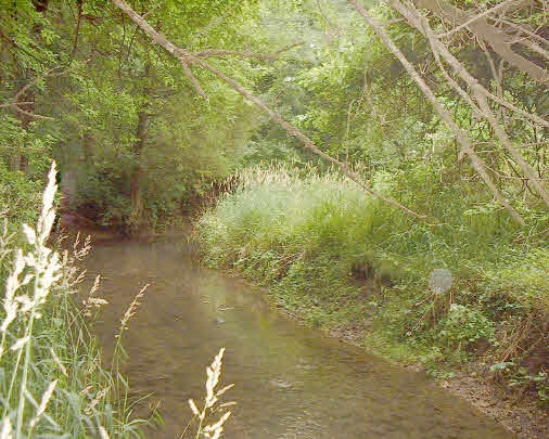 13747 Montague Road Winnebago, IL 61088 - Photo 6 of 6 a view of lake