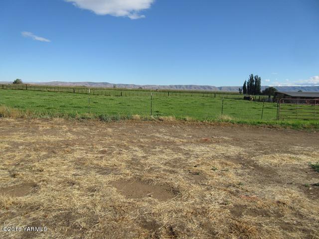 270 Evans Road Wapato, WA 98951 - Photo 27 of 42 a view of a field with an trees in the background