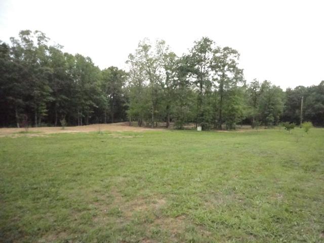 962 Espy Road Manchester, TN 37355 - Photo 2 of 19 A view of the land to the back of the lot