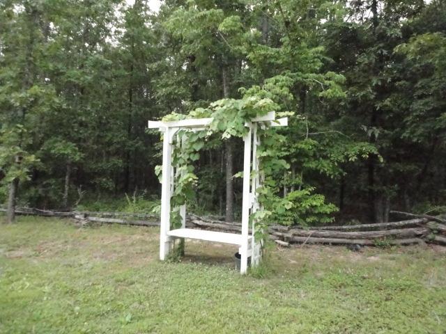 962 Espy Road Manchester, TN 37355 - Photo 3 of 19 Another view of the land showing the split rail fence