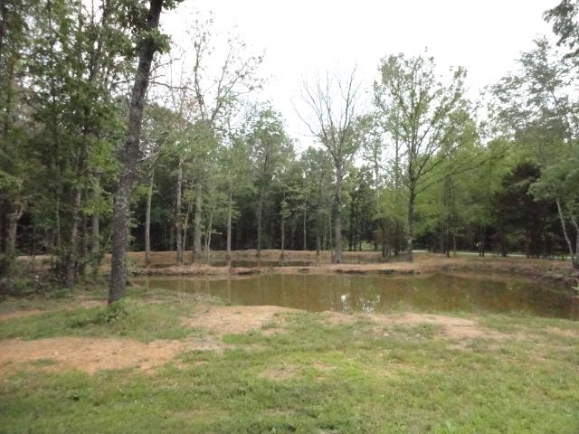 962 Espy Road Manchester, TN 37355 - Photo 4 of 19 Large stocked pond