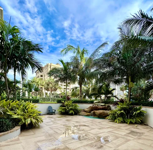 a view of garden with palm trees