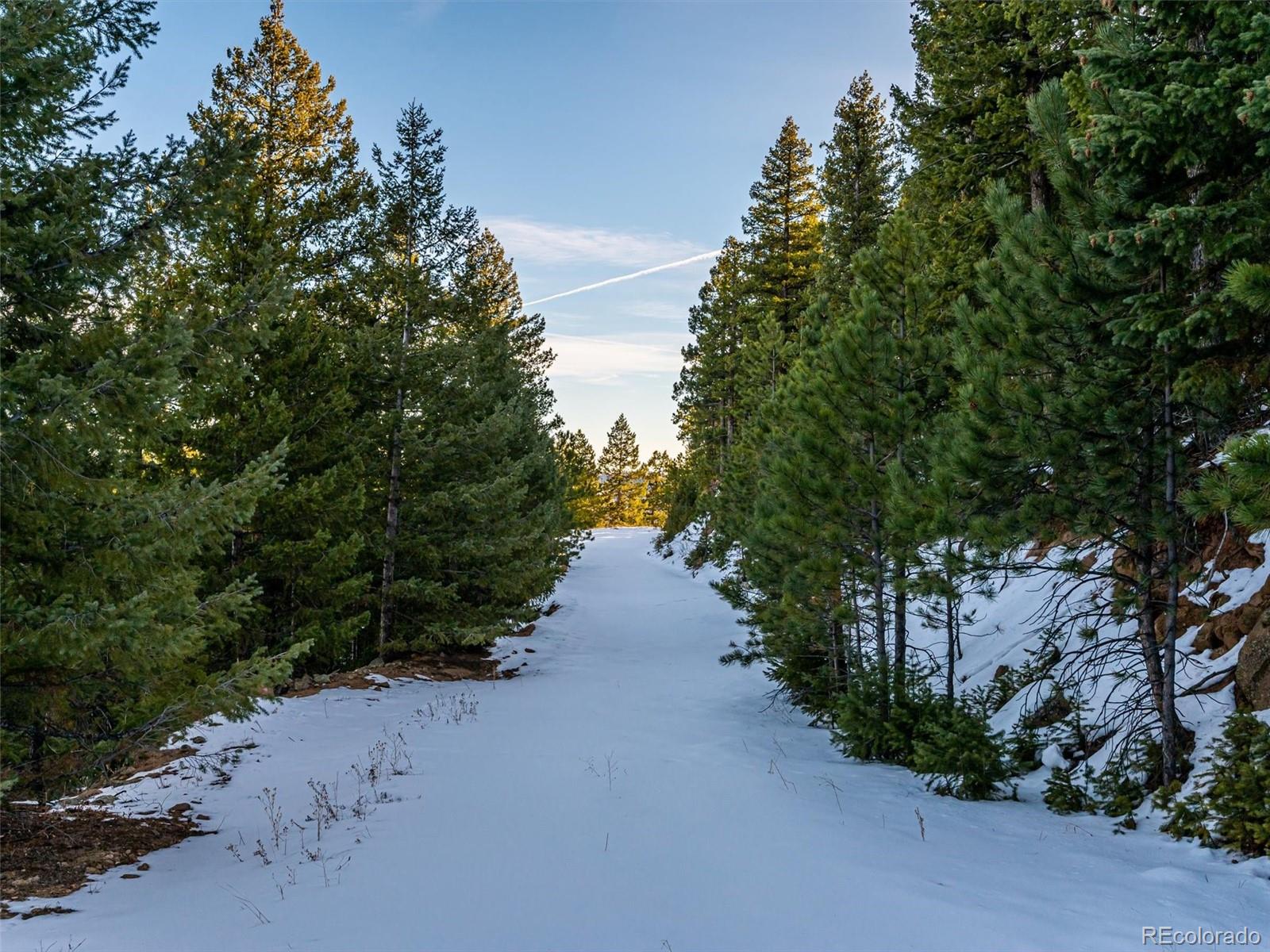 26314 Independence Trail Evergreen, CO 80439 - Photo 11 of 15