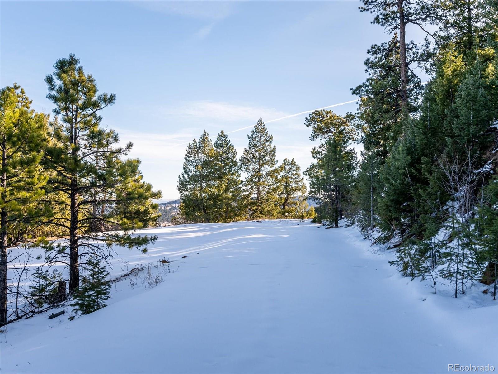 26314 Independence Trail Evergreen, CO 80439 - Photo 12 of 15