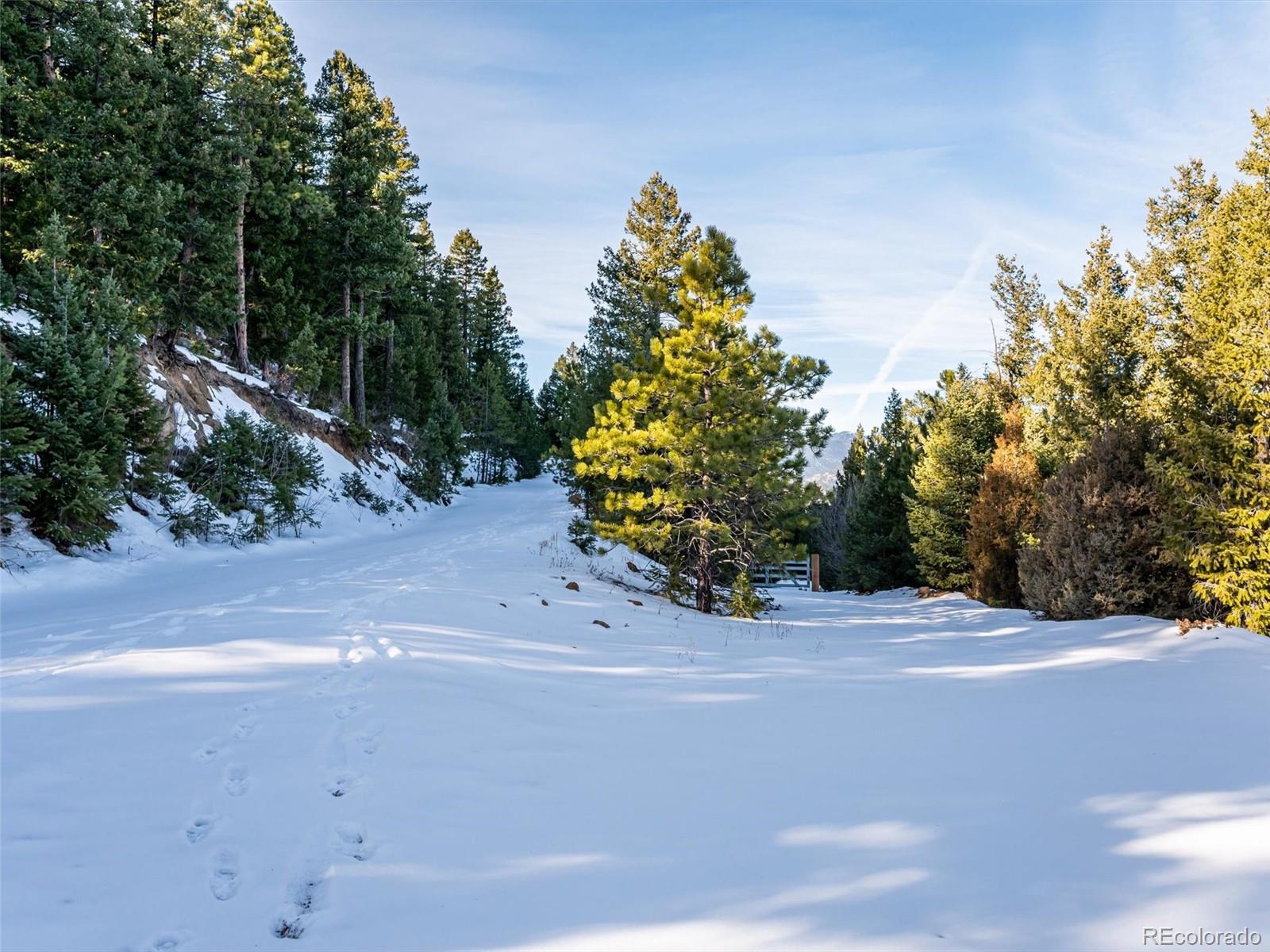 26314 Independence Trail Evergreen, CO 80439 - Photo 13 of 15