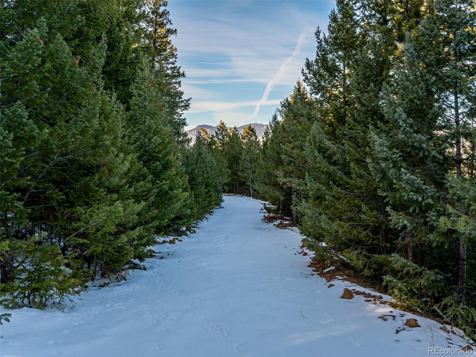 26314 Independence Trail Evergreen, CO 80439 - Photo 14 of 15