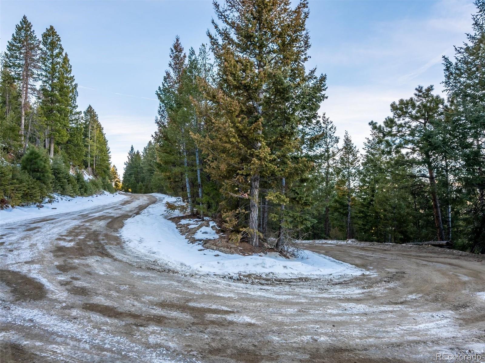 26314 Independence Trail Evergreen, CO 80439 - Photo 3 of 15
