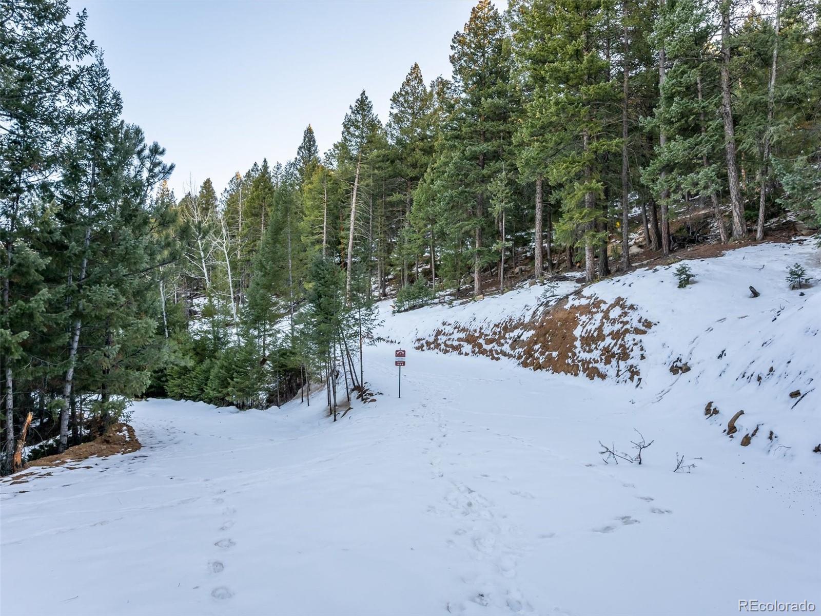 26314 Independence Trail Evergreen, CO 80439 - Photo 5 of 15