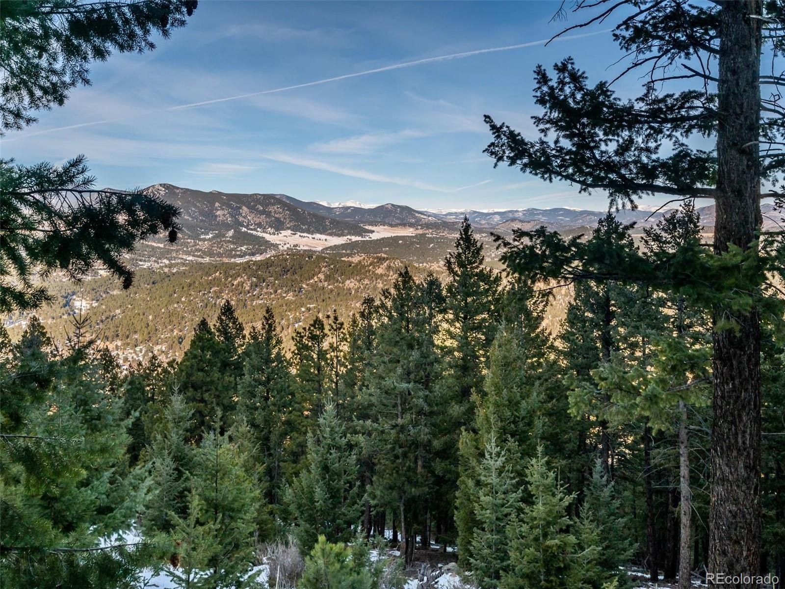 26314 Independence Trail Evergreen, CO 80439 - Photo 6 of 15