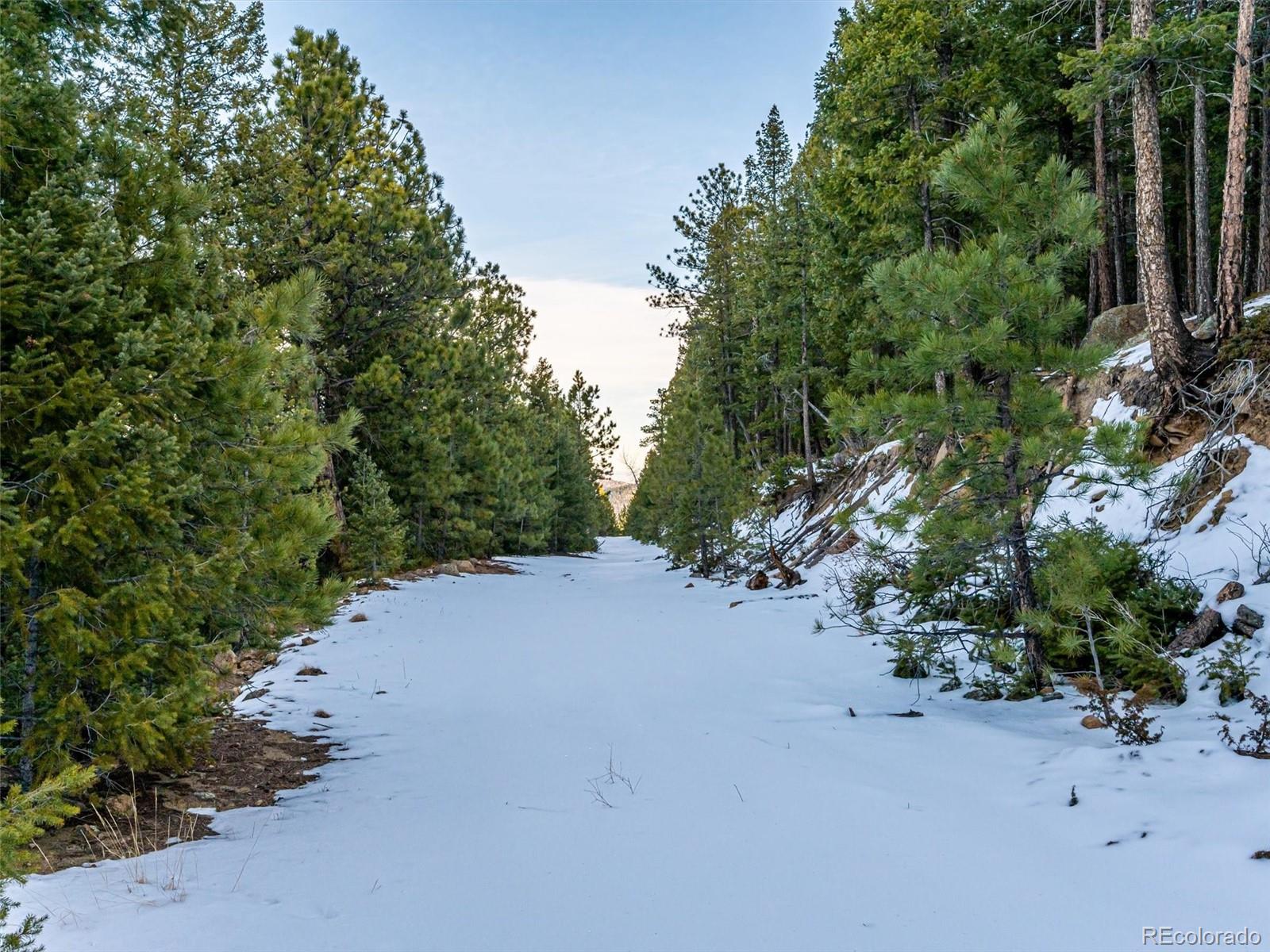 26314 Independence Trail Evergreen, CO 80439 - Photo 7 of 15