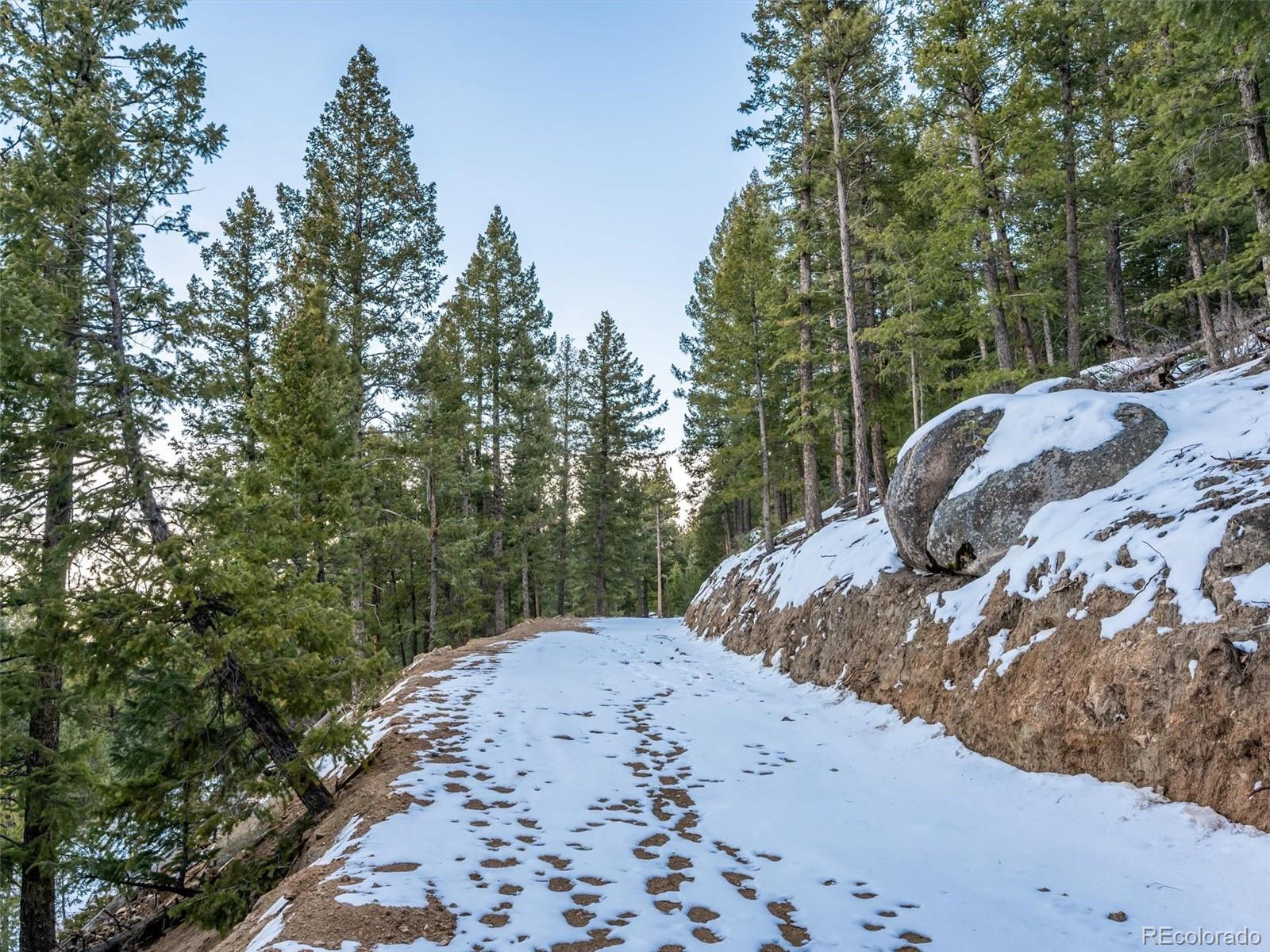 26314 Independence Trail Evergreen, CO 80439 - Photo 8 of 15